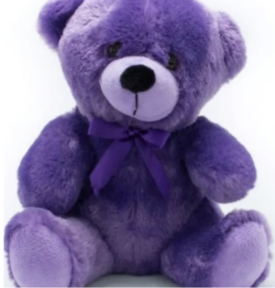 9inch Medium Size Teddy