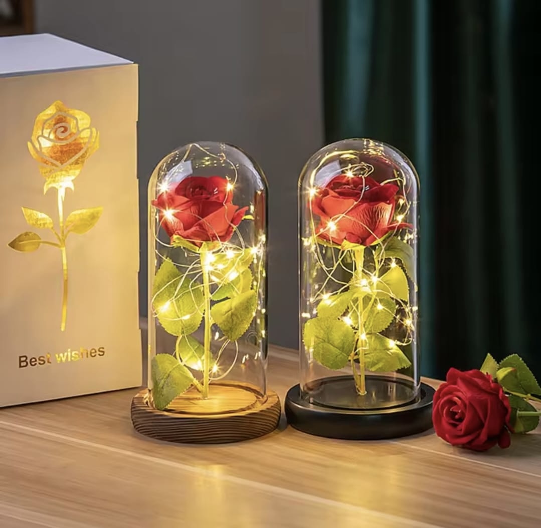 Enchanted Rose in Glass Dome