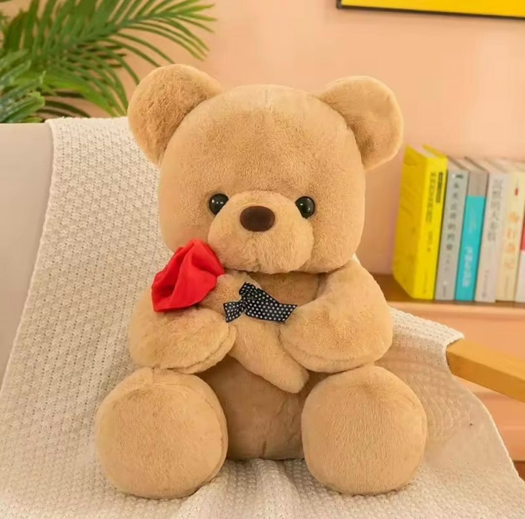Plush Teddy Bear